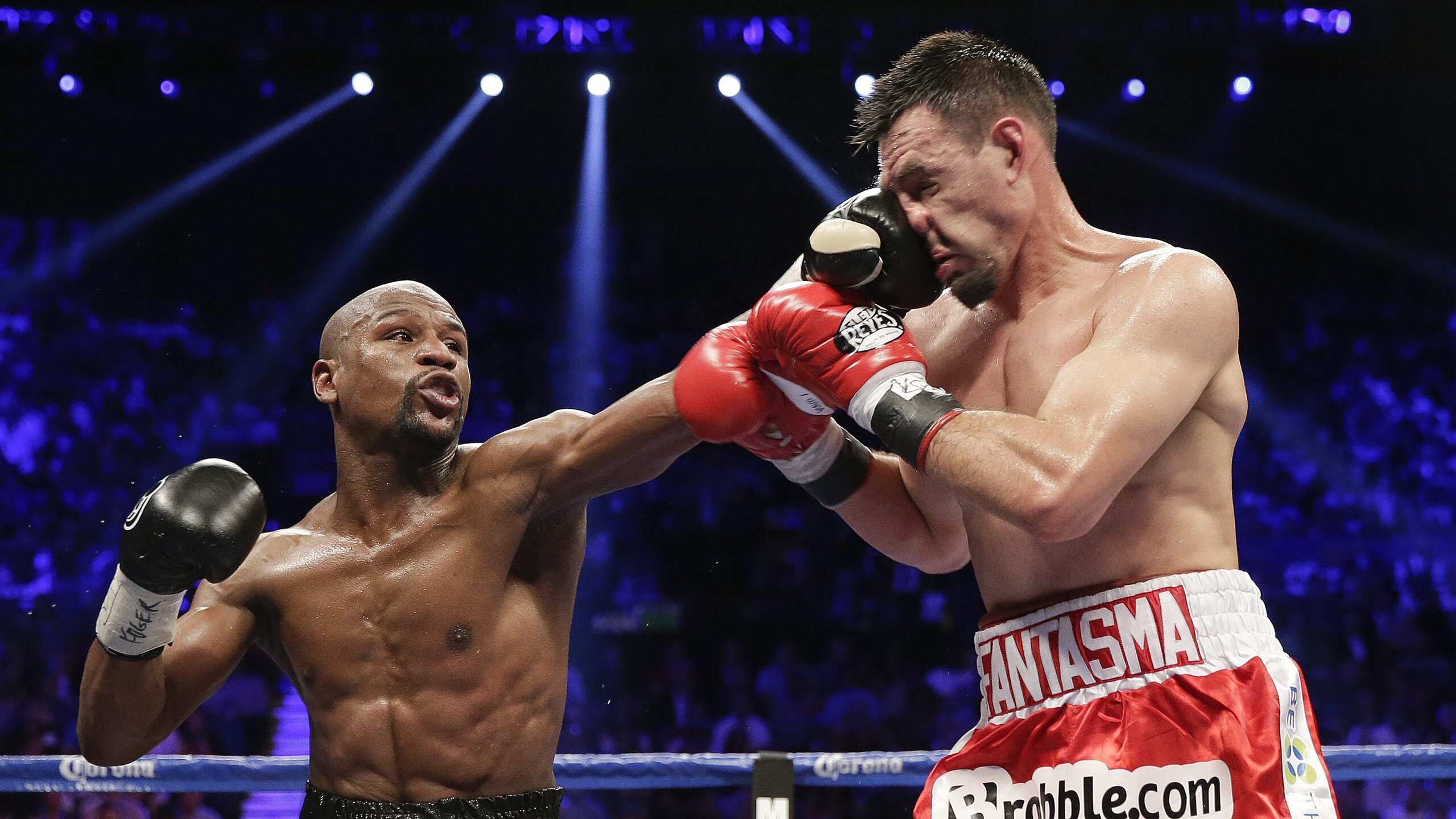 _世界环游游泳挑战赛：跨越五大洲的极限奔赴_，2021世界游泳比赛