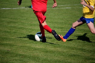 NBA球员训练计划个性化设计，nba球员训练视频,篮球技术