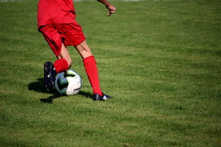 中国篮球教练员执教技能培训体系,中国篮协篮球教练员培训班