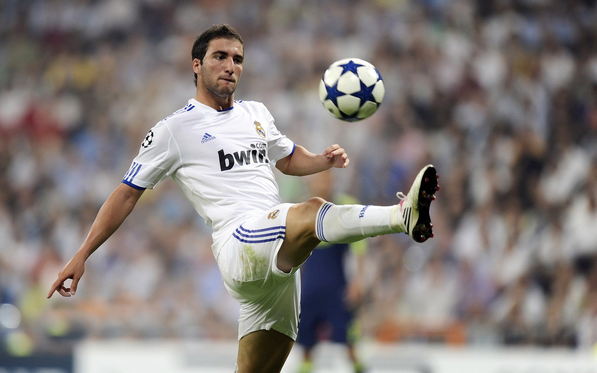 狼队客场挫败，连续不胜令人堪忧，狼队获胜