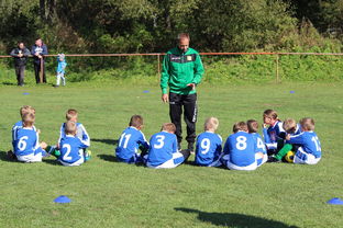 国足对不同战术体系适应能力评估，国足体能与技术分析