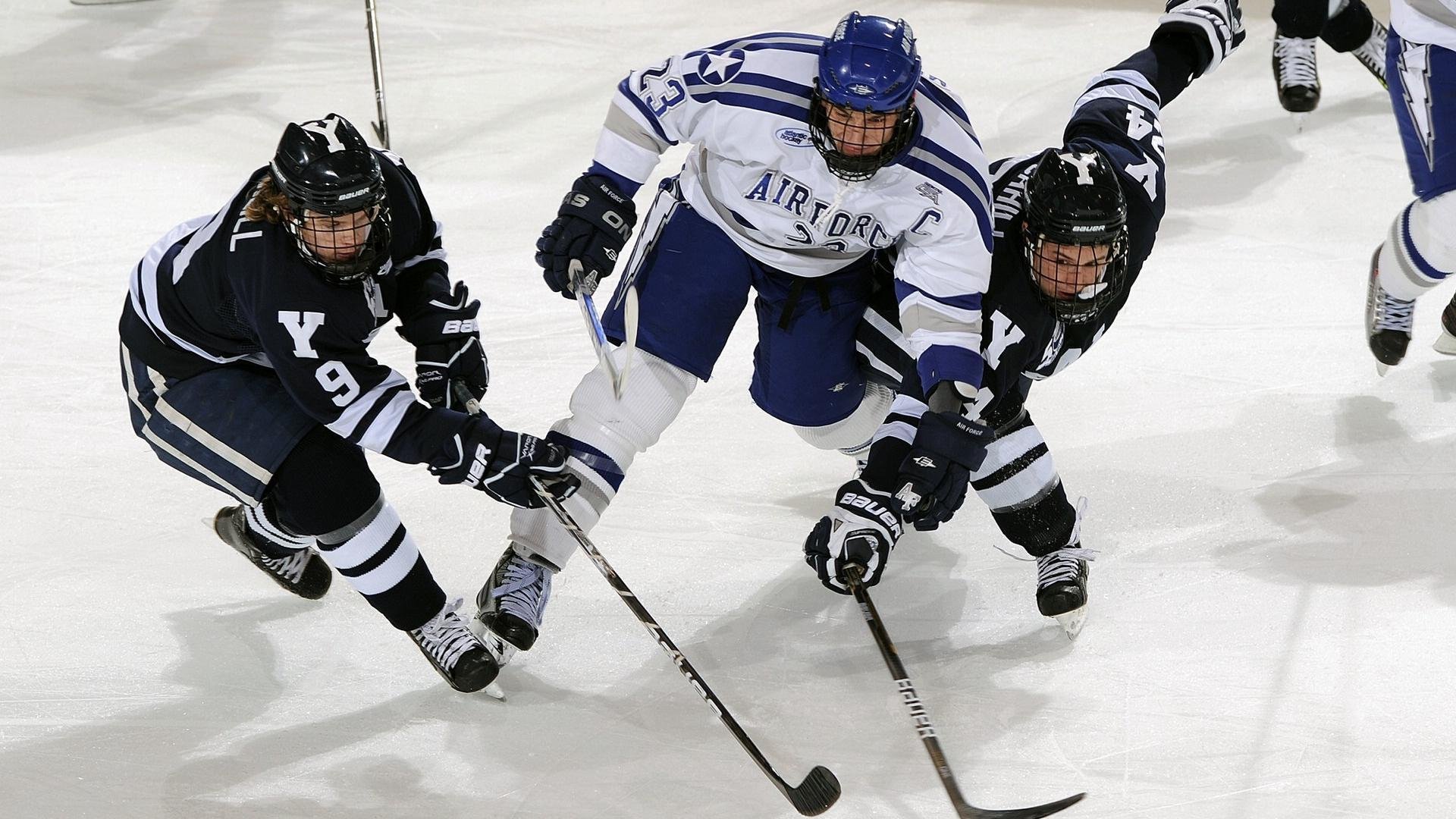 大型户外徒步节，跨越山川迎接新挑战，户外徒步主题